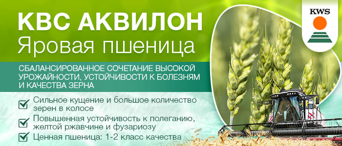 KWS АКВИЛОН